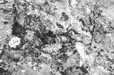 Stone Texture Closeup Rough Surface Monochrome Abstract Natural Pattern Black White