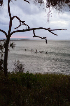 Surfers catch waves, Noosa Heads, T-Tree Point