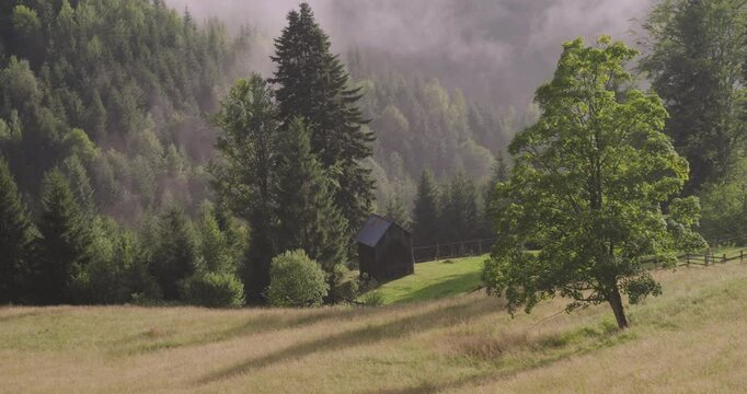 Romania Carpathian Mountains - 4K ProRes 422 HQ slog Sony FX6 Cine EI - Color - 3