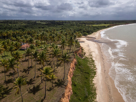 Beautiful aerial view to wild deserted beach with coconut palm tress