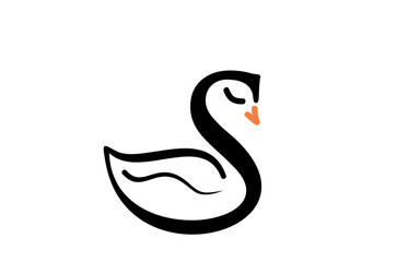 black swan vector
