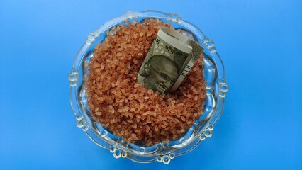 Raw brown rice on glass bowl with five hundred rupee indian currency note isolated on blue table background. Closeup top view. Inflation and high food price crisis in india concept.