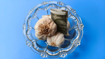 Raw white garlic on glass bowl with five hundred rupee indian currency note isolated on blue table background. Closeup top view. Inflation and high food price crisis in india concept.