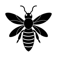 Silhouette of a black and white striped bee with detailed wings