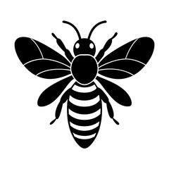 Illustration of a black and white honey bee with striped abdomen