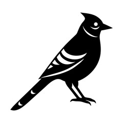 Illustration of a black bird with crest and striped wing feathers