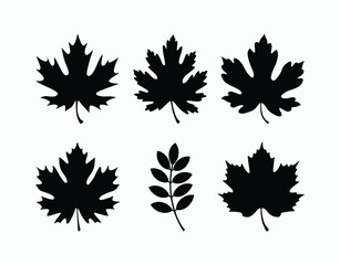 Autumn Leaves Vector Silhouette EPS Template Set