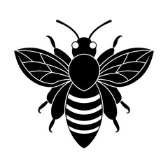 Illustration of a black and white bee with striped abdomen and wings