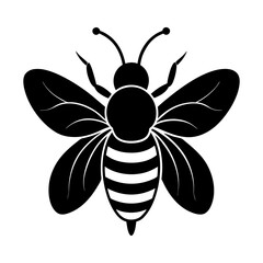 Illustration of a black and white bee with wings fully extended