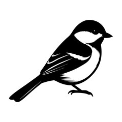 Illustration of a black and white bird perched in side profile view