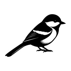 Illustration of a small bird with black and white plumage design