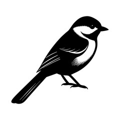 Obraz premium Illustration of a black and white bird perched with detailed wings