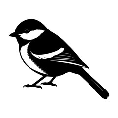 Illustration of a chickadee bird with black and white coloration