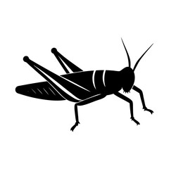 Illustration of a black grasshopper with detailed wing and legs