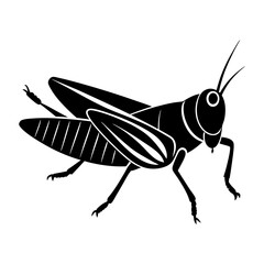 Silhouette of a grasshopper with detailed wings and long antennae