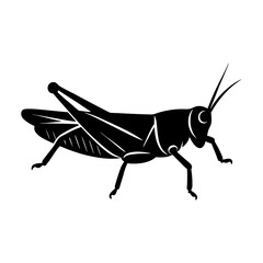 Silhouette of a grasshopper with detailed wings and long antennae