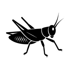 Silhouette of a grasshopper with prominent legs and antennae view