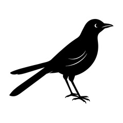 Silhouette of a bird standing with its head turned to the right side