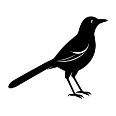 Silhouette illustration of a black bird with long tail standing up