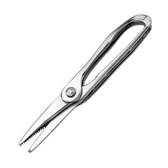 Gleaming silver poultry shears a symbol of festive feasts ready for on transparent background