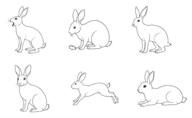 Rabbit, linear icon. Editable stroke