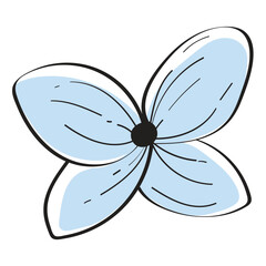 Hand Drawn Color Floral Hydrange Flower Illustration