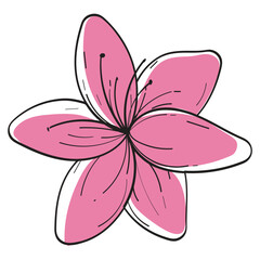 Hand Drawn Color Floral Lily Flower Illustration