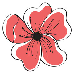 Hand Drawn Color Floral Poppy Flower Illustration