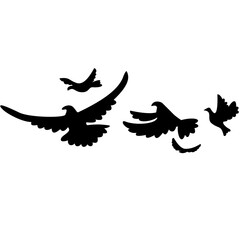 Flying bird silhouette vector