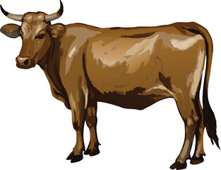 Qurban cow colorful  vector illustration on transparent background.