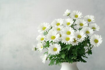 Obraz premium White daisies in a vase against a white setting