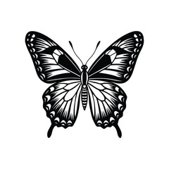 Butterfly silhouette, Butterfly tattoo, butterfly