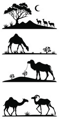 Set of wild desert animal silhouettes with horses and camels at sunset