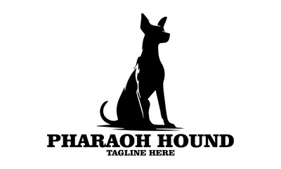 Pharaoh hound icon. Pharaoh hound vector illustration, pharaoh hound logo design and noble desert heritage