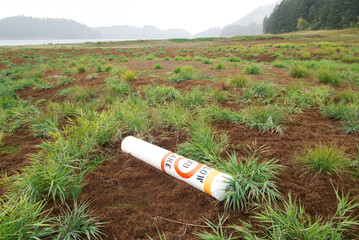 Low water levels at Dorena Lake, Oregon