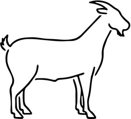 Silhouette of a sheep