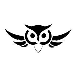 owl on white background