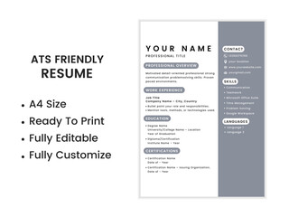 ATS Friendly Resume Template,ATS CV Formate,resume format