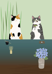 抹茶　茶の湯を楽しむ猫
