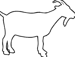 Sillhouette goat on white background