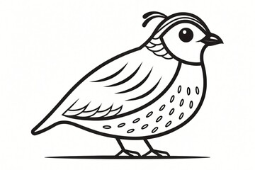 Adorable Line Art Quail Illustration Bird Drawing Wildlife Design Nature Graphic Simple Bird Sketch