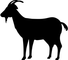 goat on white background