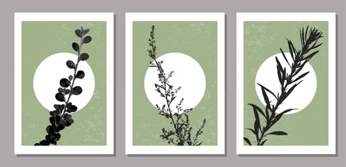 Set of trendy minimalist botanical vector illustration with branch and leaves