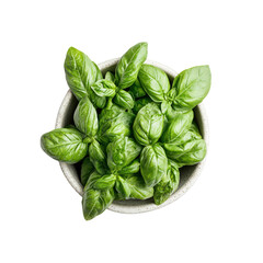 Fototapeta premium Fresh Green Basil Leaves in a Bowl, Overhead View