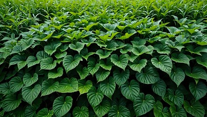green leaves background Seamless looping 4k time-lapse animation video background 