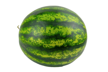 Fresh whole watermelon with vibrant green stripes. isolated object