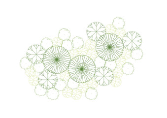 architecture drawing plant tree top view plan greenery vegetation vector. design nature architectural landscape set element illustration bush garden flora sapling minimal. architect isolated.