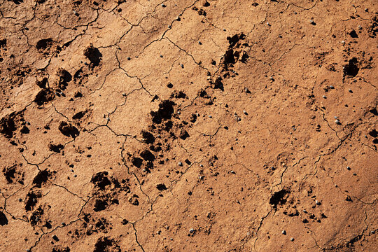 close up of dry red dirt in outback Australia