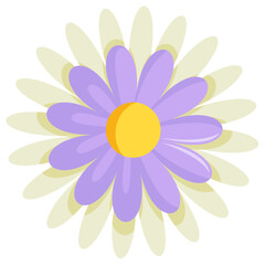 Flat Minimal Chrysanthemum Flower 