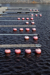 empty boat harbour with jetty and red buoys